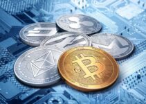 Which Cryptocurrencies are the Best Option for you in 2024?