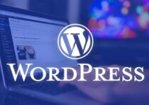 WordPress Theme Guide: How to Choose the Right One 2024