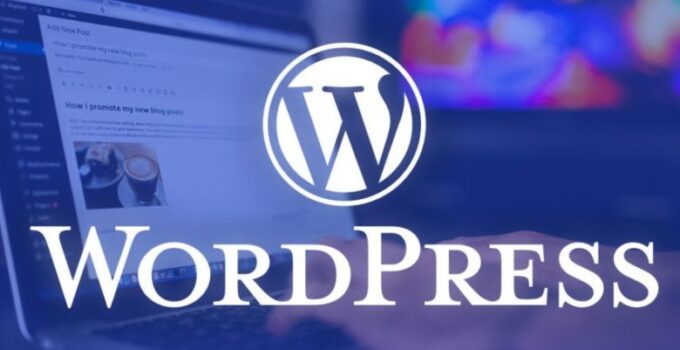 WordPress Theme Guide: How to Choose the Right One 2024