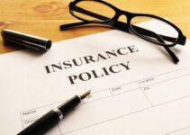 Life Insurance Companies in 2024 – Inform yourself