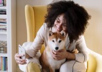 5 Tech Gadgets for Keeping Your Pets Safe in 2024