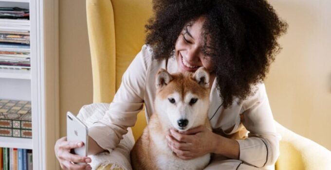 5 Tech Gadgets for Keeping Your Pets Safe in 2024