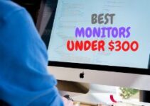 10 Best Monitors Under $300 2024 – For Gaming or Office