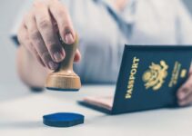 How to Avoid Online Visas Frauds – 2024 Guide
