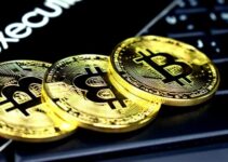 How to Identify Cryptocurrency and Blockchain Scams – 2024 Guide
