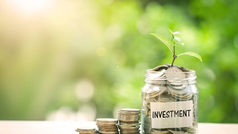 5 Best Ways to Invest Your Money In - 2024 Guide - NorseCorp