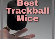 12 Best Trackball Mice 2024 – Wireless & Wired Roller Ball Mouse