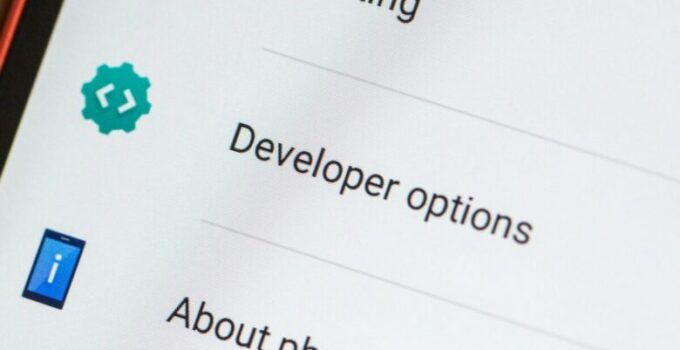 Settings Inside the Android Developer Options