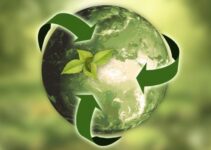 Running a Sustainable Business in 2024