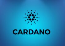 Why Buying Cardano in 2024 Might Not Be Too Late