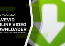 How To Install Savevid Online Video Downloader in Windows 7, 8.1, 10, 11, Mac, Linux, and Ubuntu
