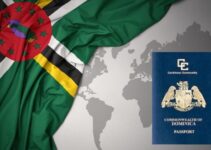 How Dominica Citizenship By Investment Compares To Other Programs – 2024 Guide