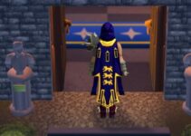 Is the Champion’s Cape Worth Getting in OSRS?