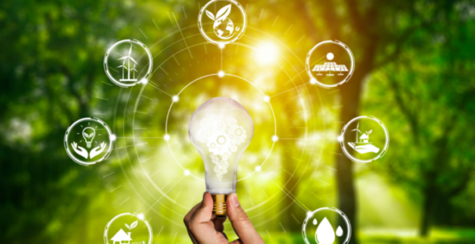 Eco-Friendly in the Digital Age: Navigating the Tech-Sustainability Connection 