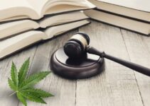 Do’s and Don’ts: Medical Marijuana Rules for Patients in Mississippi
