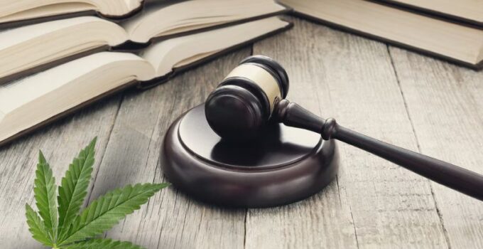 medical marijuana law
