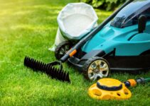 The Essential Lawn Care Toolkit: Tools Every Gardener Should Own The Essential Lawn Care Toolkit: Tools Every Gardener Should Own