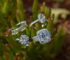 10 Most Popular Styles for Lab-Grown Diamond Engagement Rings