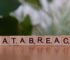 Bot Traffic Patterns Reshape Casino Risk Models